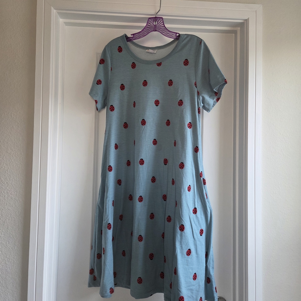 LuLaRoe Teal Dress with Ladybug Accents And Pockets